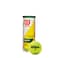 WILSON Championship Tennis Balls  Regular Duty Single Can 3 Balls