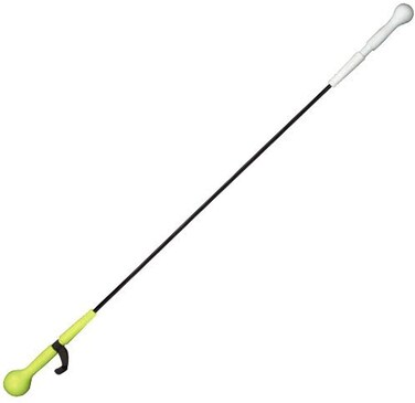 Easton  TRAINING STICK