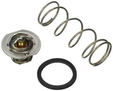 Raypack 062234B Unitherm Governor VersaRp2100