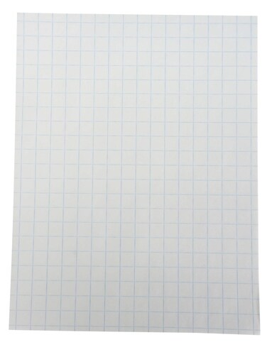 School Smart Double Sided Graph Paper 812 x 11 Inches 12 Inch Rule White Pack of 500  085279