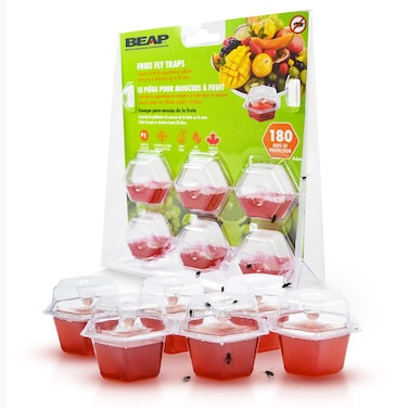 BEAPCO Premium Fly 6 Traps  180 Days Supply  New and Improved Formula  Easy to use  FoodBased  Lure Bait Catcher Fruit Flies 6Pack Red