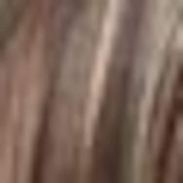 Noriko Sky Synthetic Wig by Rene of Paris and Wig Lift Comb  Chocolate Swirl  Bundle 2 Items