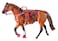 Breyer Traditional Western Riding Set Toy Accessory in Hot Colors