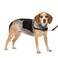 PetSafe Easy Walk NoPull Dog Harness  The Ultimate Harness to Help Stop Pulling  Take Control  Teach Better Leash Manners  Helps Prevent Pets Pulling on Walks SmallMedium BlackSilver