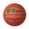 Wilson Evolution Indoor Game Basketball Intermediate  Size 6