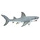 Safari Ltd Great White Shark Figurine  Detailed 7 Plastic Model Figure  Fun Educational Play Toy for Boys Girls  Kids Ages 3
