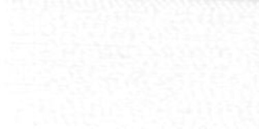 Gutermann Top Stitch Heavy Duty Thread 33 YardsNu White