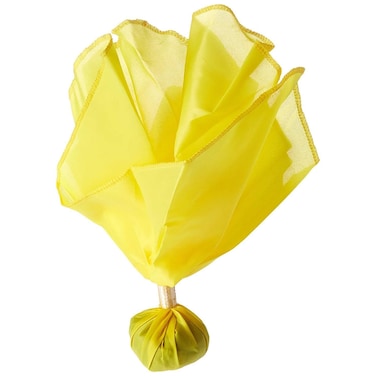 BSN Officials Penalty Flag