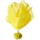 BSN Officials Penalty Flag
