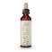 Bach Original Flower Remedies Impatiens for Patience Natural Homeopathic Flower Essence Holistic Wellness Vegan 20mL Dropper