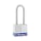 Master Lock 3DLH Outdoor Padlock with Key 2 shackle Silver 1 Pack