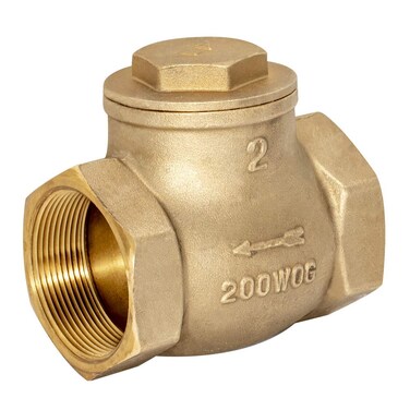 Eastman Brass Swing Check Valve 2 Inch IPS Brass Plumbing Fitting 20431LF