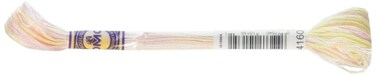 DMC Color Variations 6Strand Embroidery Floss 87Yard