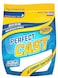 cast  Paint PerfectCast 2 LBS refill