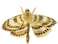 Hansa Moth Plush