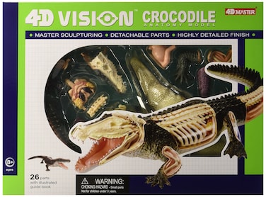 Famemaster 4D Vision Crocodile Anatomy Model
