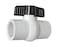 American Valve P200 1 PVC Ball Valve IPS Schedule 40 1Inch White