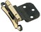 Amerock  Cabinet Hinge  38 inch 10 mm Inset Hinge  Antique Brass  2 Pack  SelfClosing Hinge  Face Mount Hinge  Cabinet Door Hinge