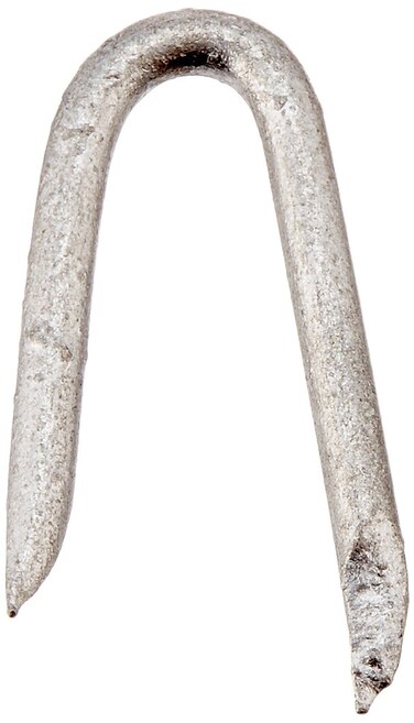 Grip Rite 34HGPNS1 1050 lb Galvanized Poultry Net Staple 34