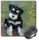 3dRose LLC 8 x 8 x 025 Inches Mouse Pad Miniature Schnauzer mp_4158_1