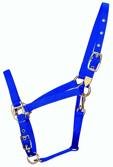 Hamilton 34Inch Nylon Arabian Horse Halter with Adjustable Chin and Throat Snap Average 800 to 1100 pounds blue