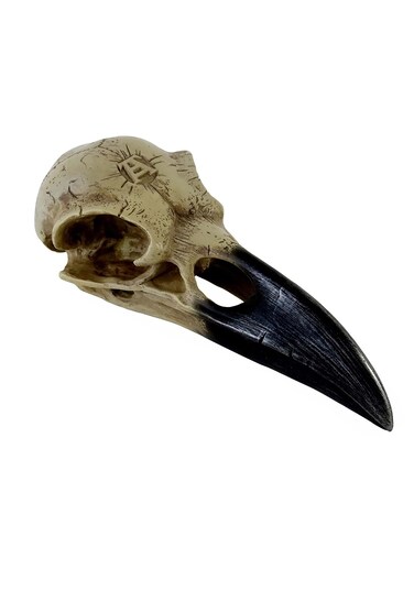 Alchemy Corvus Alchemica Raven Skull