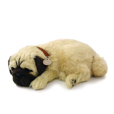 Plenty Gifts Perfect Petzzz Soft Pug Universal One Size