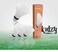 Jaspo Kidzy Steel Badminton Racket Set with 5pc Feather Shuttlecock Multi