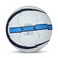HANDBALL TRAINER SUBJUNIOR
