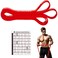 FASHNEX Resistance Bands Pull Up Assist Exercise Band Perfect for Mobility Body Stretching Powerlifting Home Workout Fitness Training Loop Bands for Men  Women Light Resistance