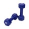 Nivia Vinyl Dumbell2kg Blue