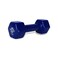 Nivia Vinyl Dumbell2kg Blue