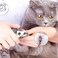 Tpotato Dog Nail ClippersDog Nail Trimmers for Large Breed Dog with Quick SensorSafari Professional Cat Nail Clipper with Safety Guard and Nail File
