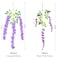 Pauwer Wisteria Hanging Flowers 24 Pack Fake Flower Garland Artificial Wisteria Vines Rattan Silk Flower String Wedding Party Wall DecorationsPurple