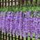 Pauwer Wisteria Hanging Flowers 24 Pack Fake Flower Garland Artificial Wisteria Vines Rattan Silk Flower String Wedding Party Wall DecorationsPurple