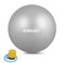 Boldfit Gym Ball for Exercise Anti Burst Exercise Ball with Foot Pump for Workout Yoga Ball for Women and Men Swiss Ball for Balance Stability Training Birthing Ball for Pregnancy Grey 65Cm