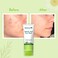 WishCare 2 Salicylic Acid Face Wash with AHA GreenTea Chamomile  TeaTree  For Oil  Acne Control