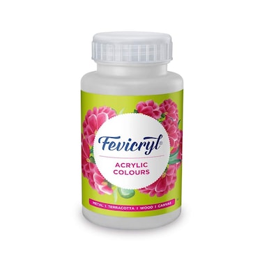 Pidilite Fevicryl Acrylic Colour 500 Ml White