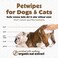 Petkin Pet Wipes for Dogs and Cats Oatmeal 100 Wipes Large for Dogs and Cats  Soothes Itchy Dry Skin and Cleans Ears Face Butt Body and Eye Area  Idea for Home and Travel
