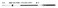 Uflex C14X11 Engine Control Cable 11