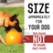 Virtually Indestructible Best Ball for Dogs 10inch