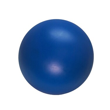 Virtually Indestructible Best Ball for Dogs 10inch