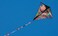 Prism Stowaway Diamond Kite Purple Haze