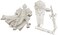 Privateer Press Protectorate of Menoth  Order of the Wall Paladin Alt Pose Model Kit