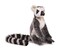 Hansa 4907 Plush