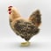 Hansa Hen Plush Brown