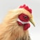 Hansa Hen Plush Brown