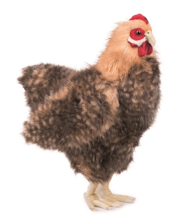 Hansa Hen Plush Brown