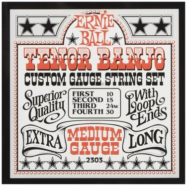 Ernie Ball Medium Stainless Steel Tenor Banjo Strings 1030 Gauge P02303
