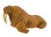 Safari Ltd Wild Safari Sea Life  Walrus  Realistic Hand Painted Toy Figurine Model  Quality Construction from Safe and BPA Free Materials  For Ages 3 and Up